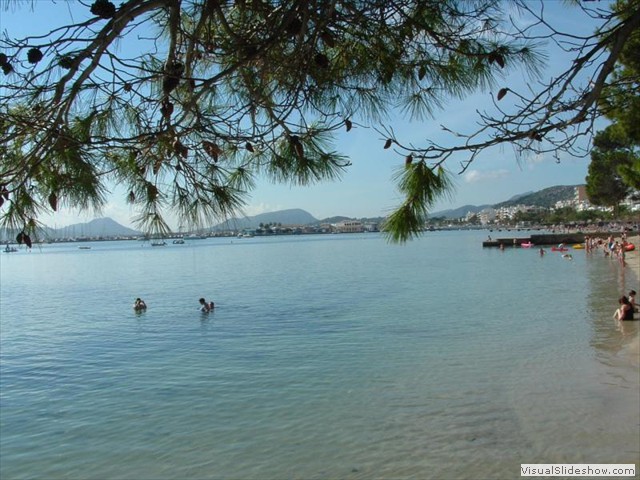 Port de Pollenca Mallorca