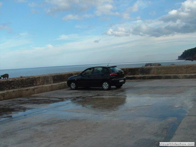 Valldemossa port with our car & cat