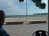 Nuvo Palma